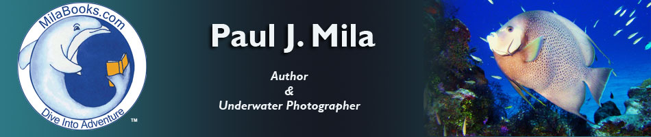 paul j mila - dangerous waters